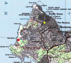 A red polygon indicates an extant occurrence; yellow indicates that occurrence has been extirpated.  